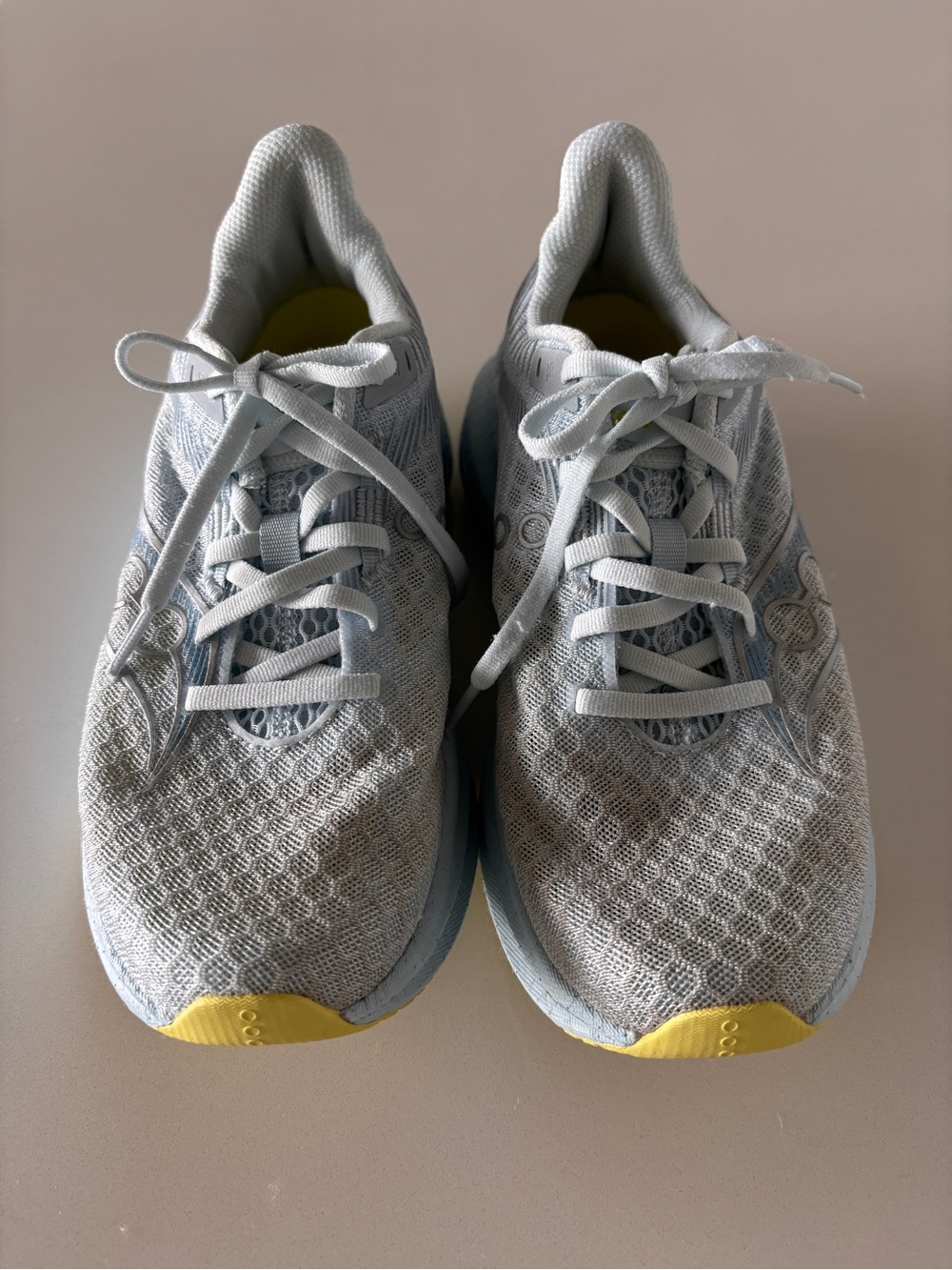Saucony Endorphin Speed 5 Women ICE